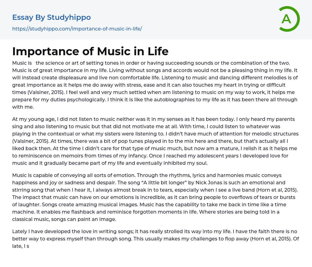 Importance of Music in Life Essay Example