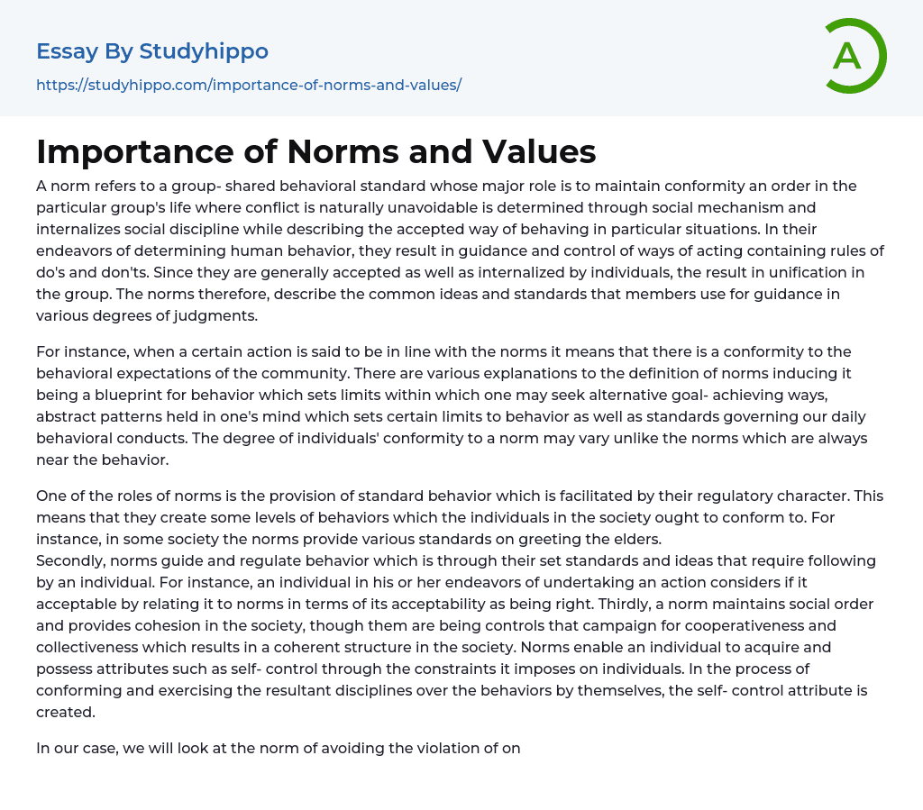 Importance of Norms and Values Essay Example