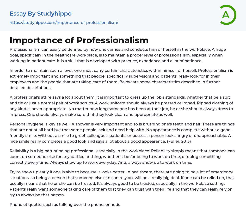 Importance of Professionalism Essay Example