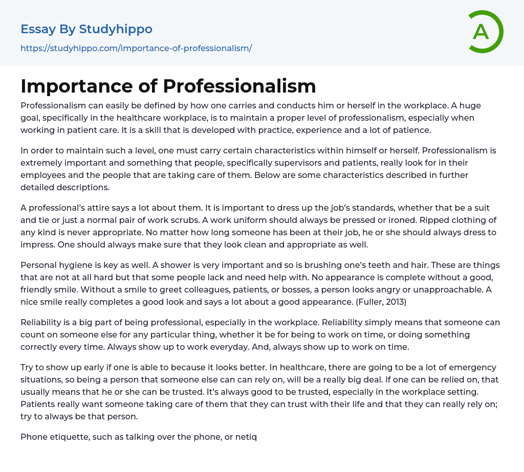 sample essay on professionalism