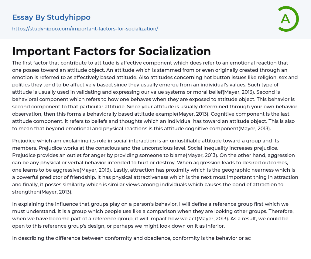 Important Factors for Socialization Essay Example