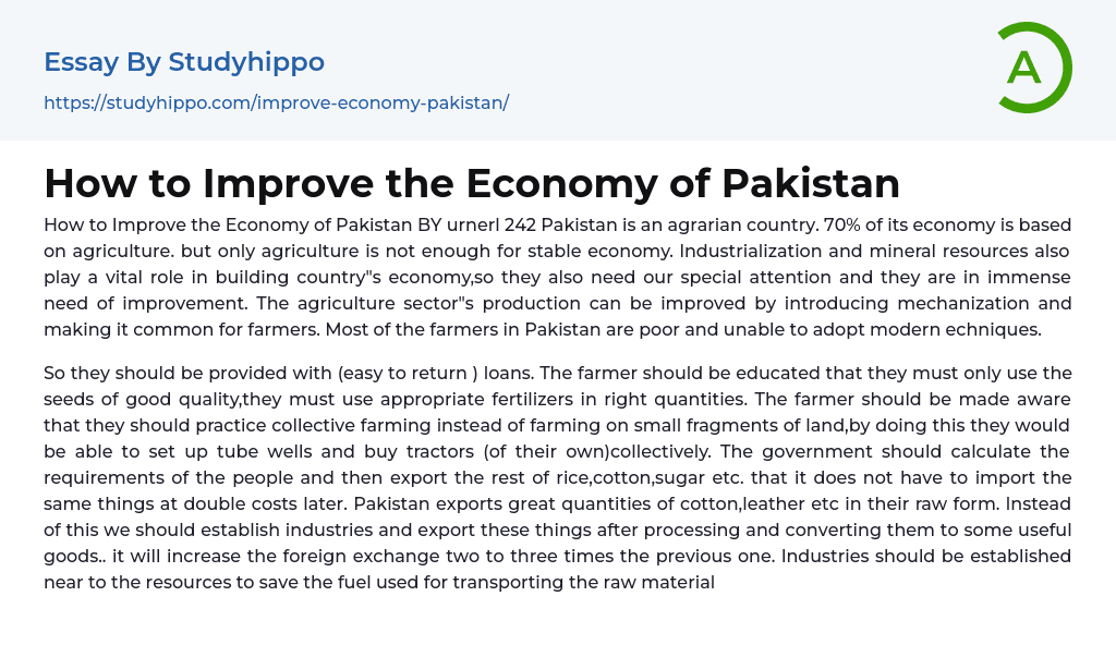 How to Improve the Economy of Pakistan Essay Example