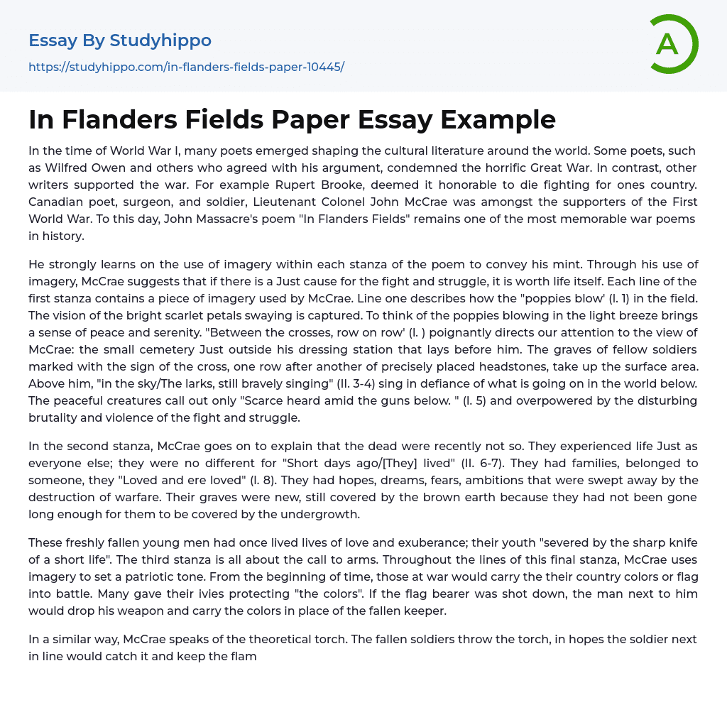 In Flanders Fields Paper Essay Example