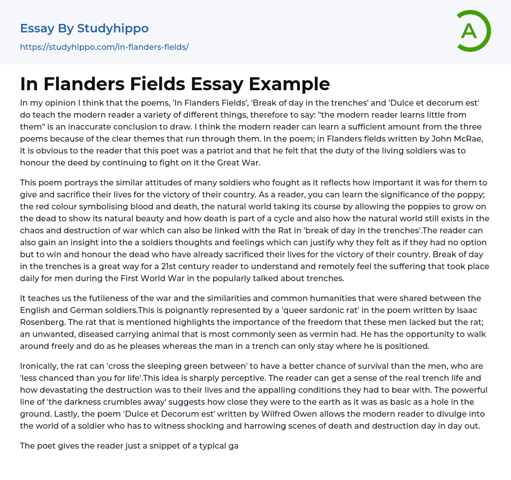 In Flanders Fields Essay Example
