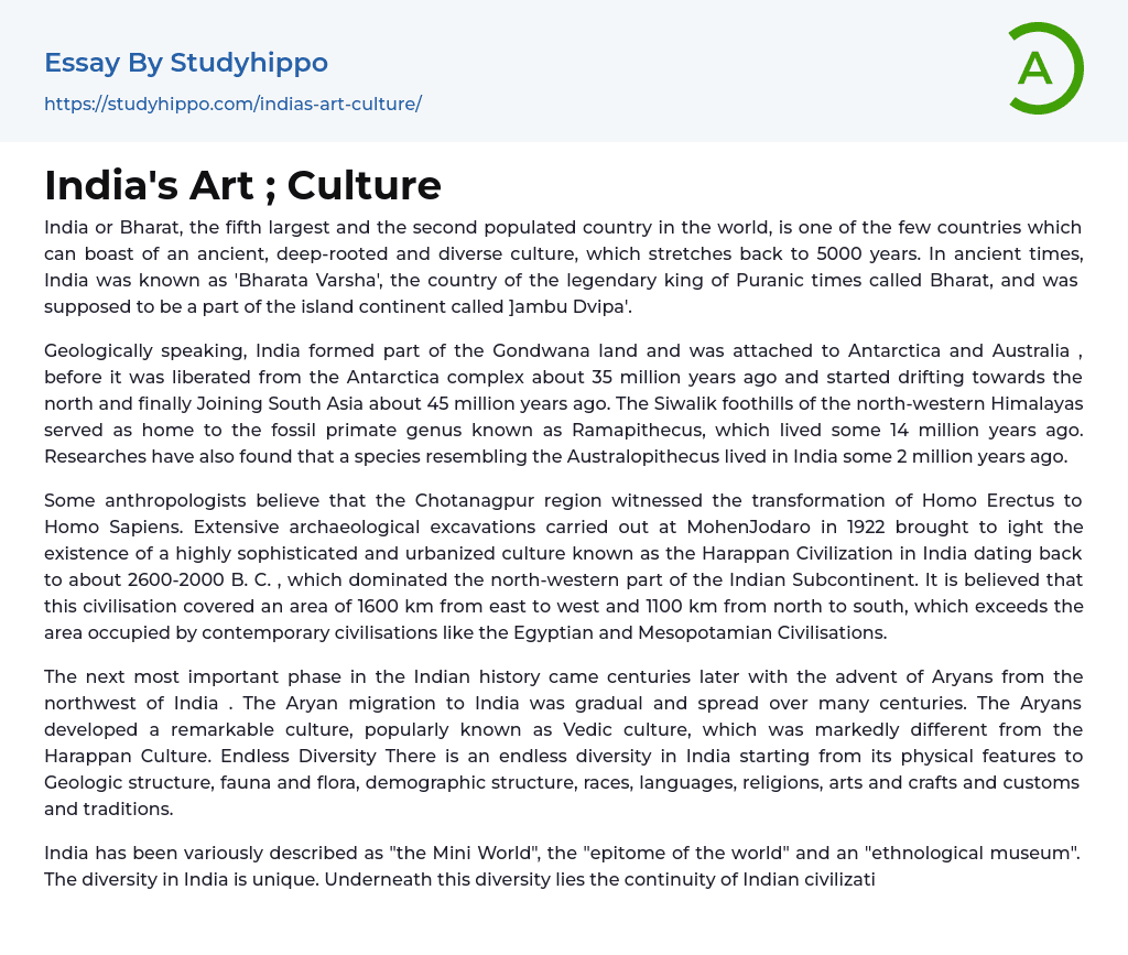India’s Art ; Culture Essay Example