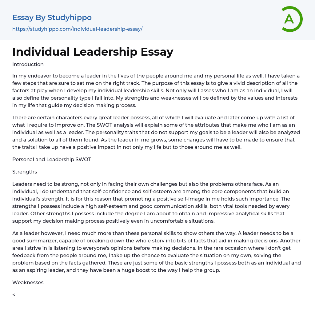 Individual Leadership Essay