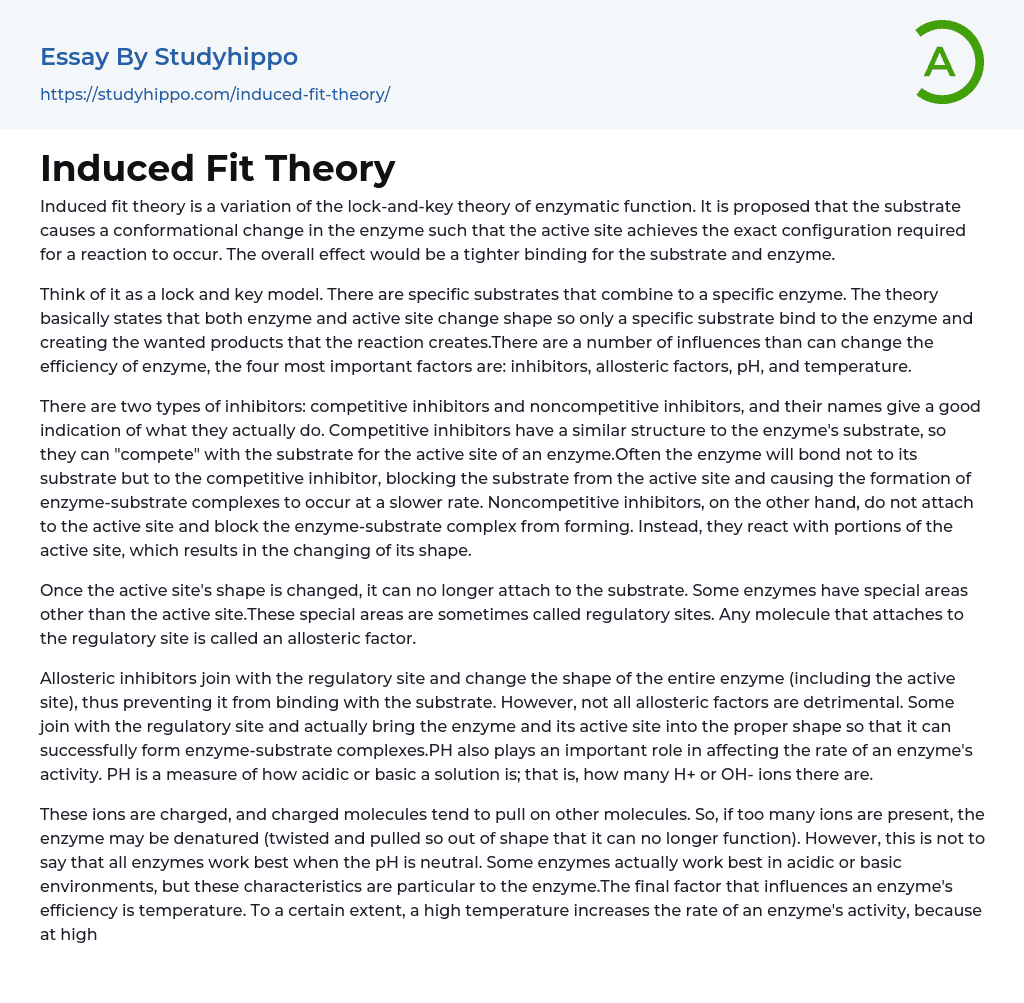 Induced Fit Theory Essay Example