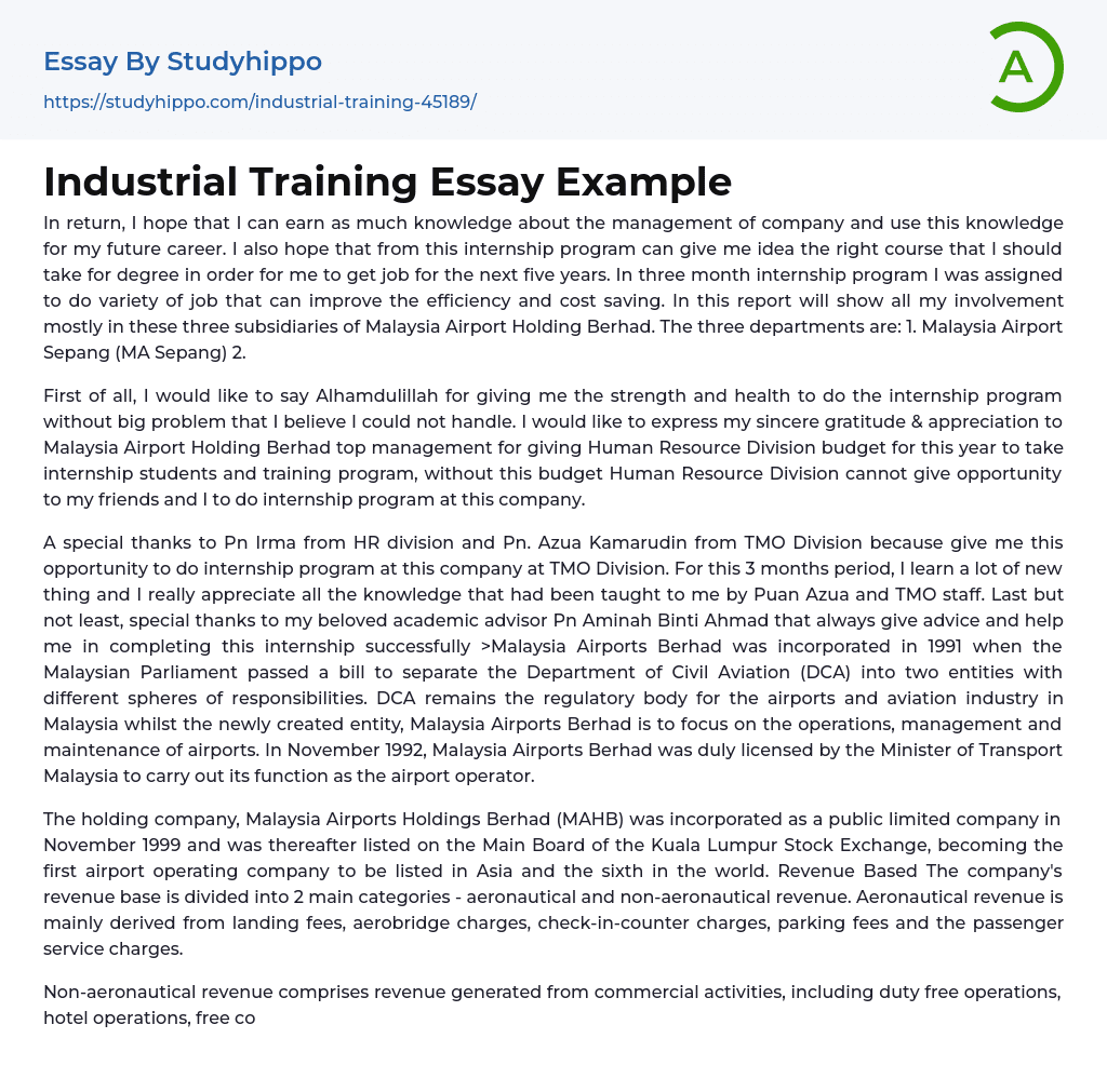 Industrial Training Essay Example