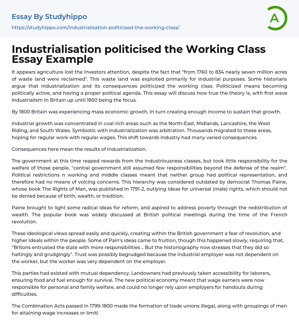 Industrialisation politicised the Working Class Essay Example