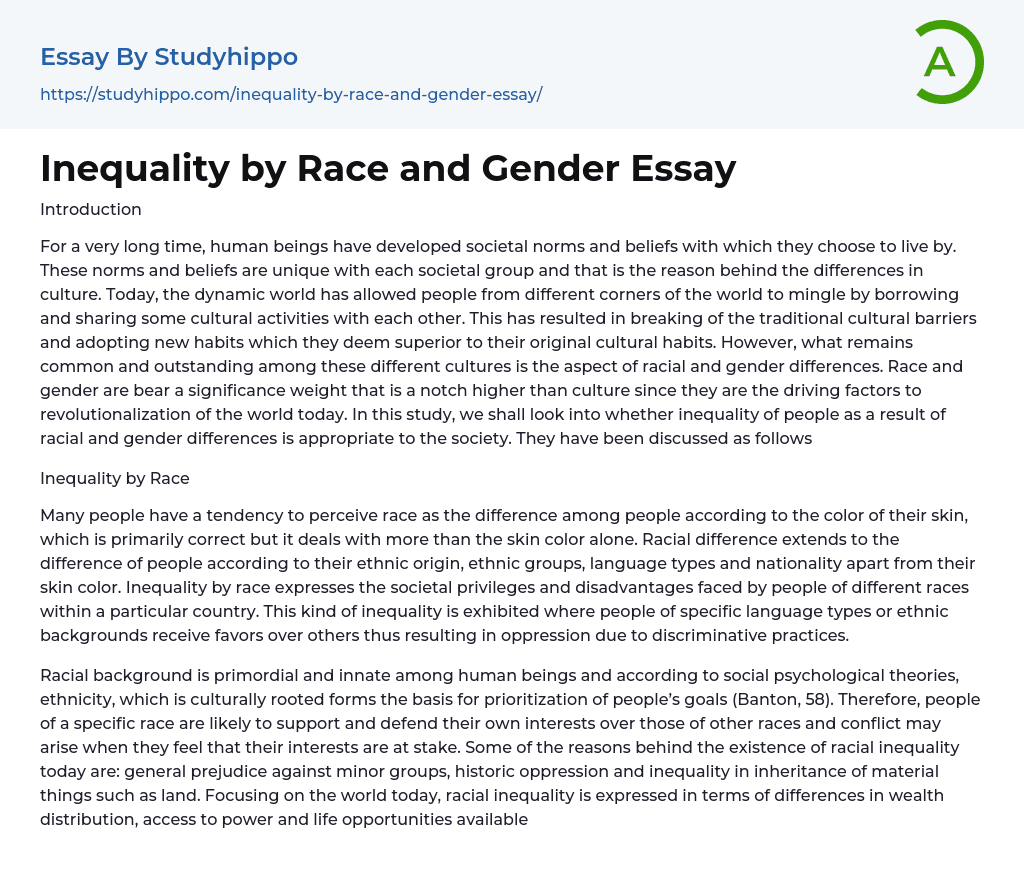 Inequality by Race and Gender Essay