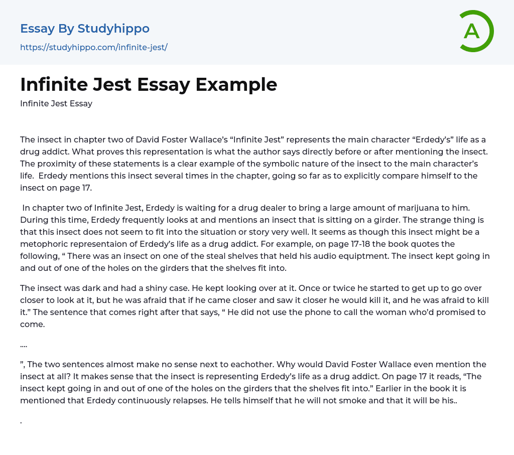 Infinite Jest Essay Example