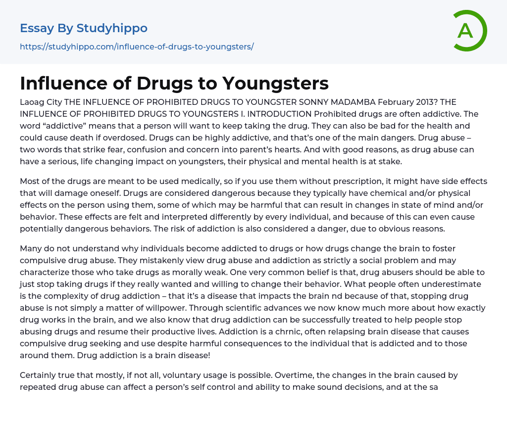 Influence of Drugs to Youngsters Essay Example