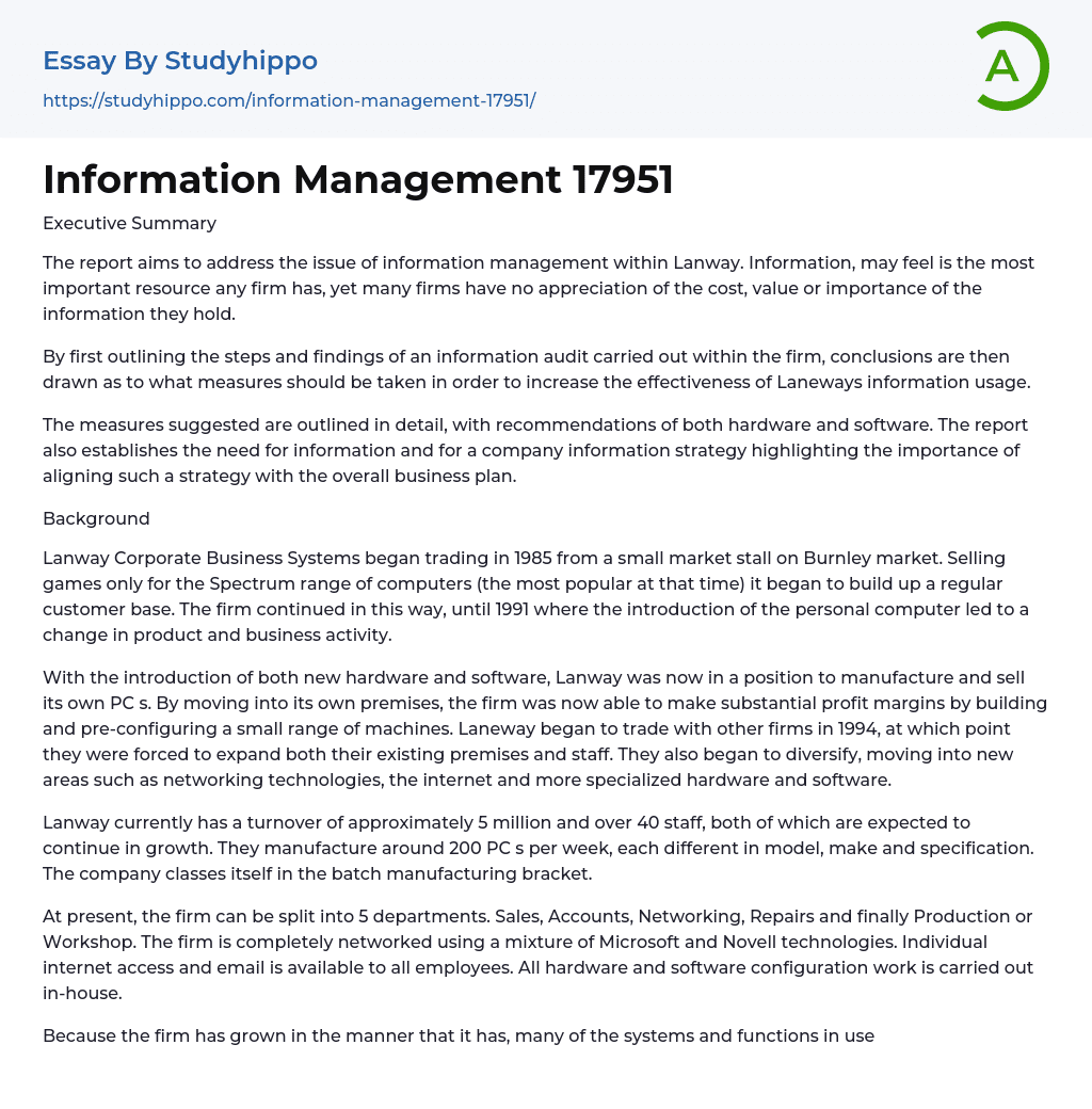 Information Management 17951 Essay Example