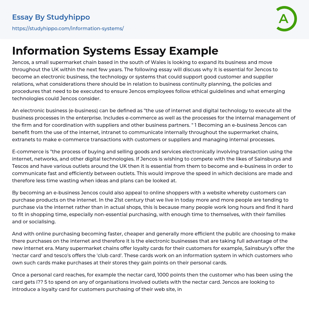 Information Systems Essay Example