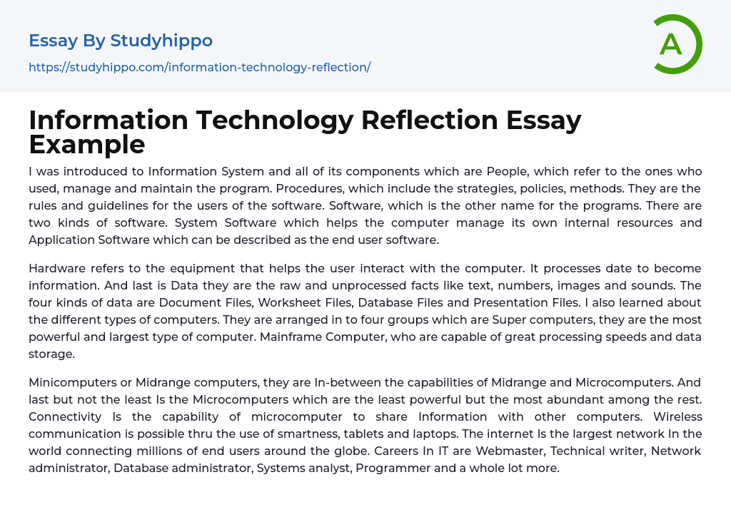 Information Technology Reflection Essay Example