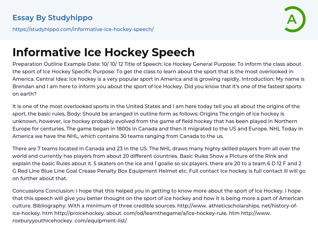 essay on hockey 1000 words