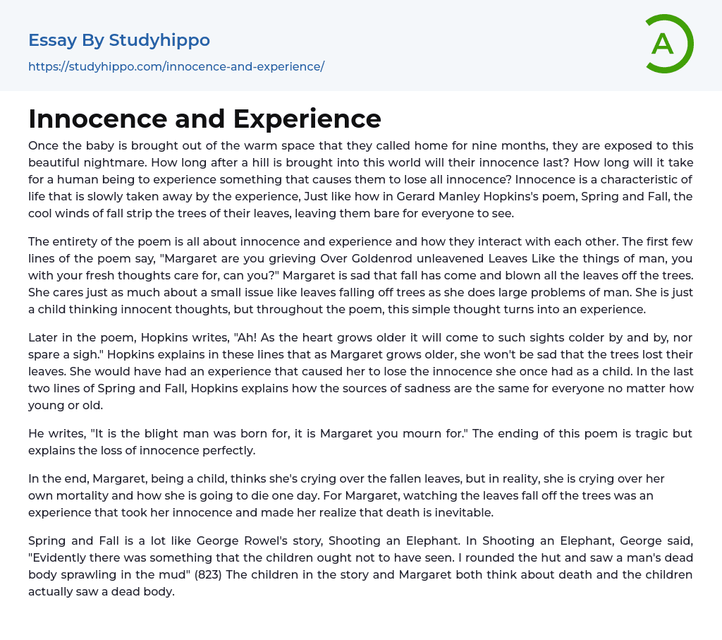 Innocence and Experience Essay Example