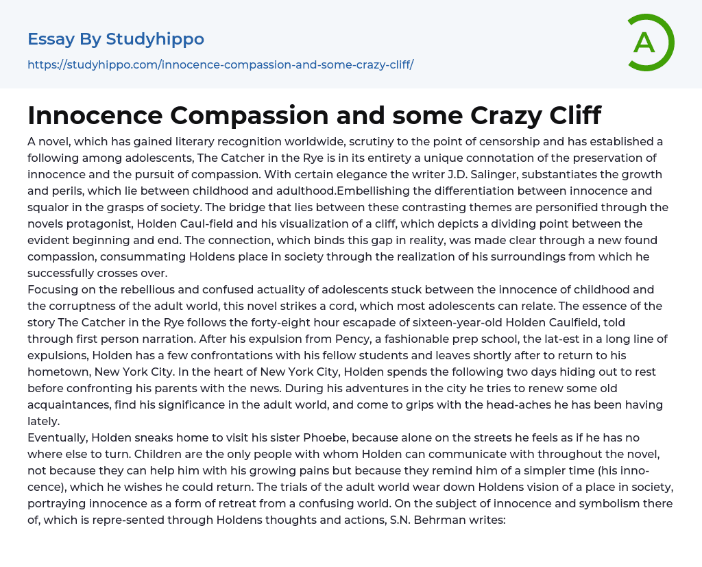 Innocence Compassion and some Crazy Cliff Essay Example