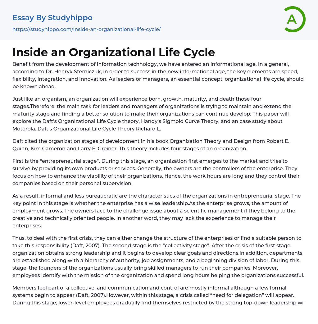 Inside an Organizational Life Cycle Essay Example