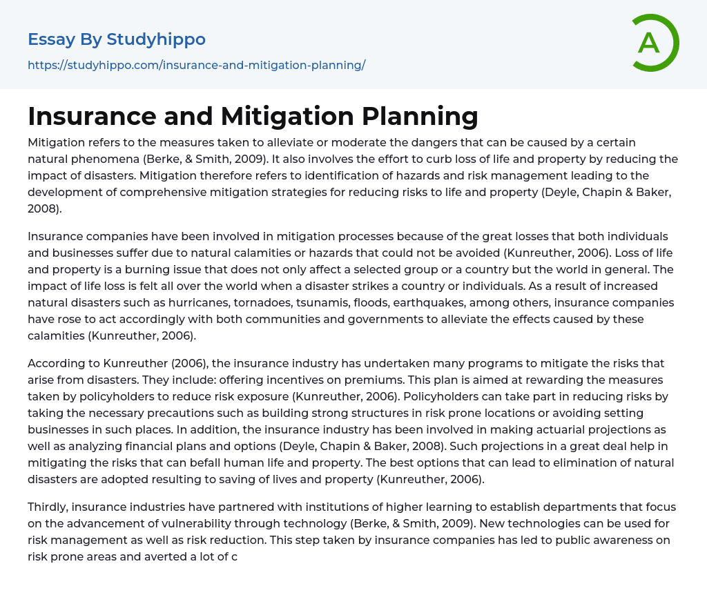 Insurance and Mitigation Planning Essay Example