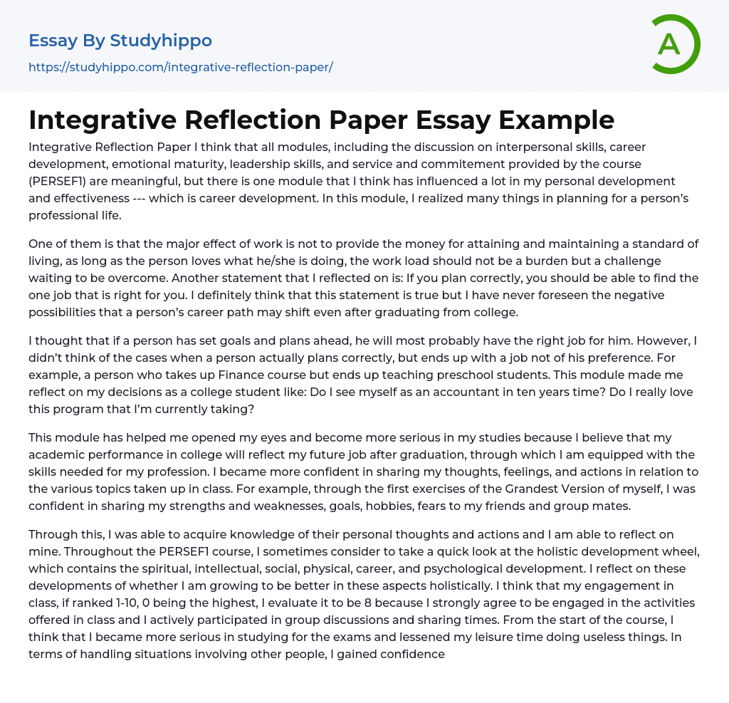 Integrative Reflection Paper Essay Example