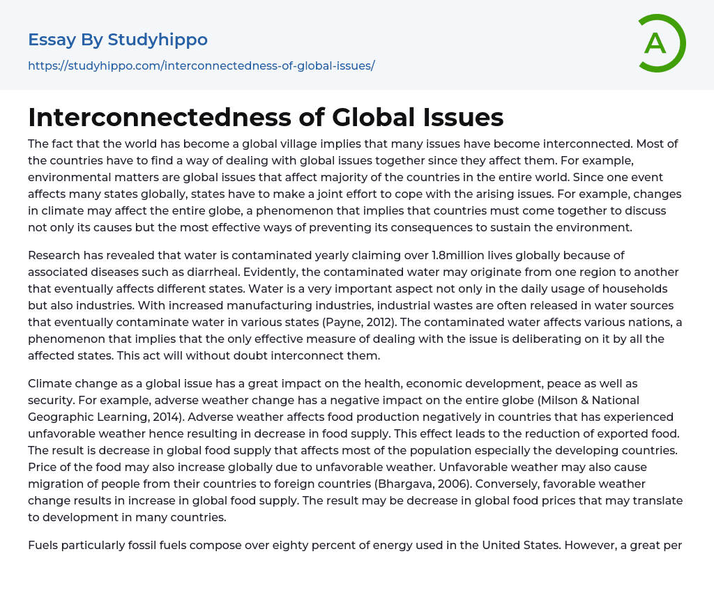 Interconnectedness of Global Issues Essay Example