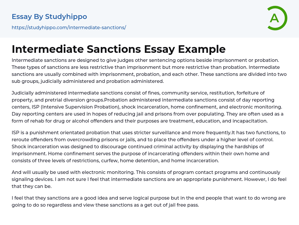 Intermediate Sanctions Essay Example
