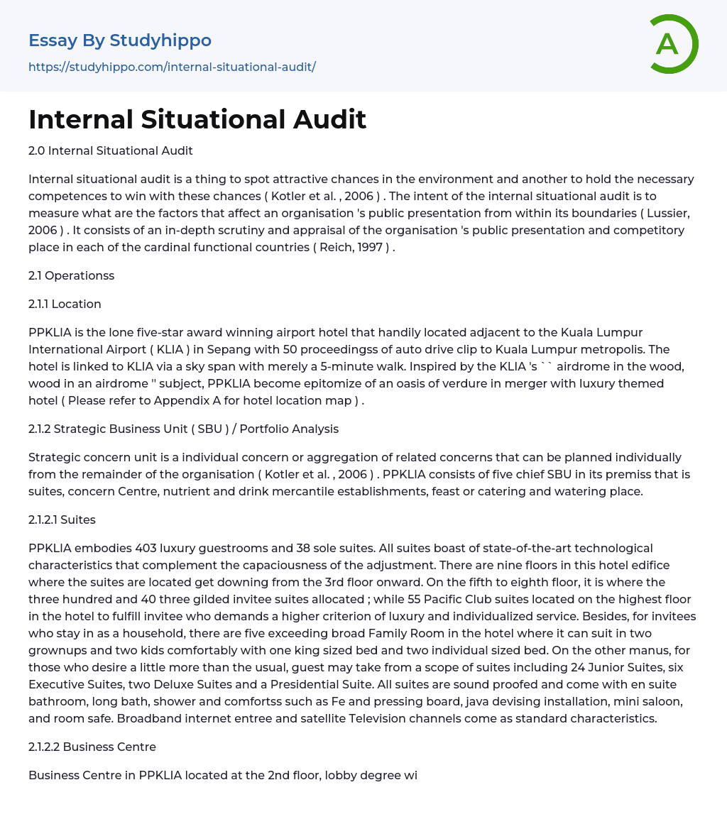Internal Situational Audit Essay Example