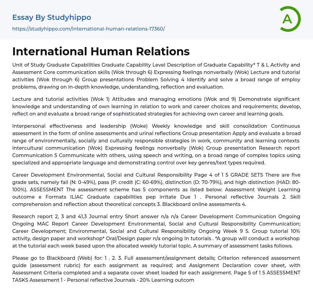 International Human Relations Essay Example
