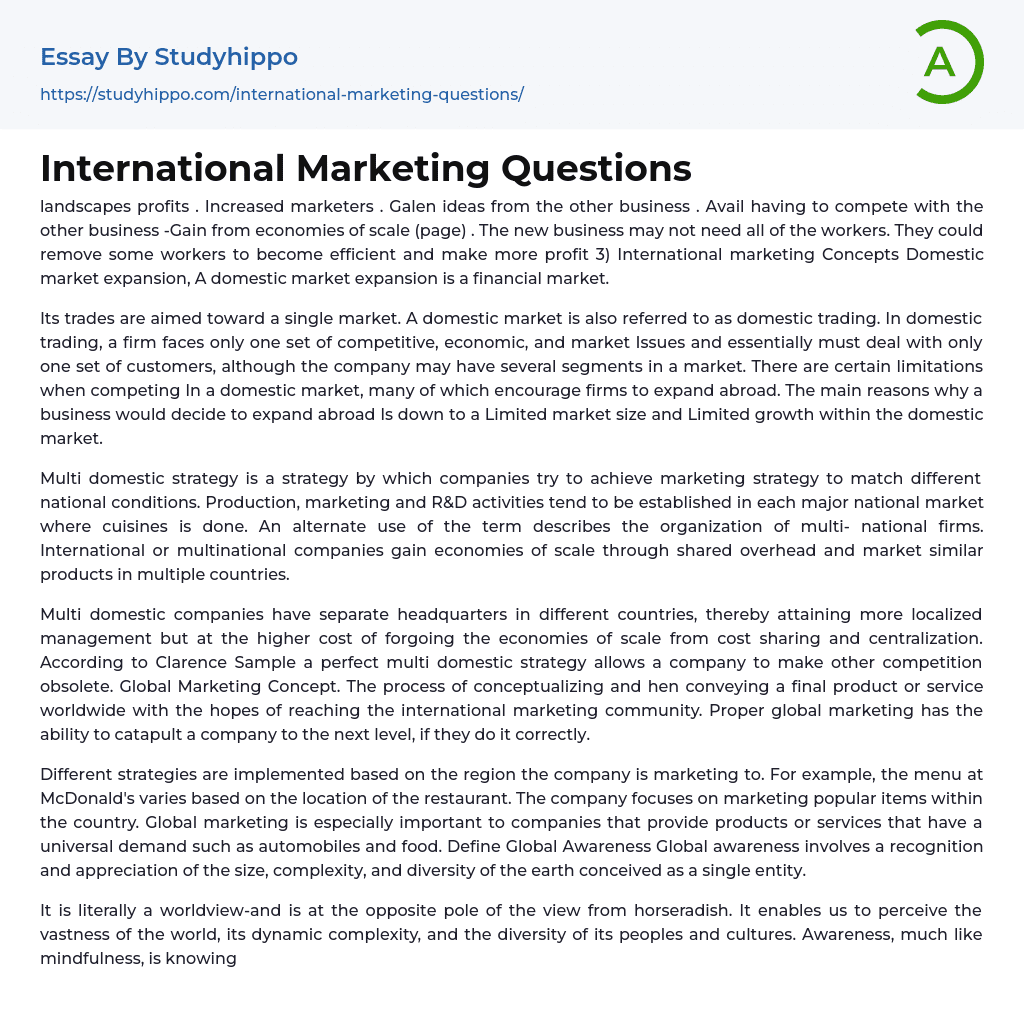 International Marketing Questions Essay Example