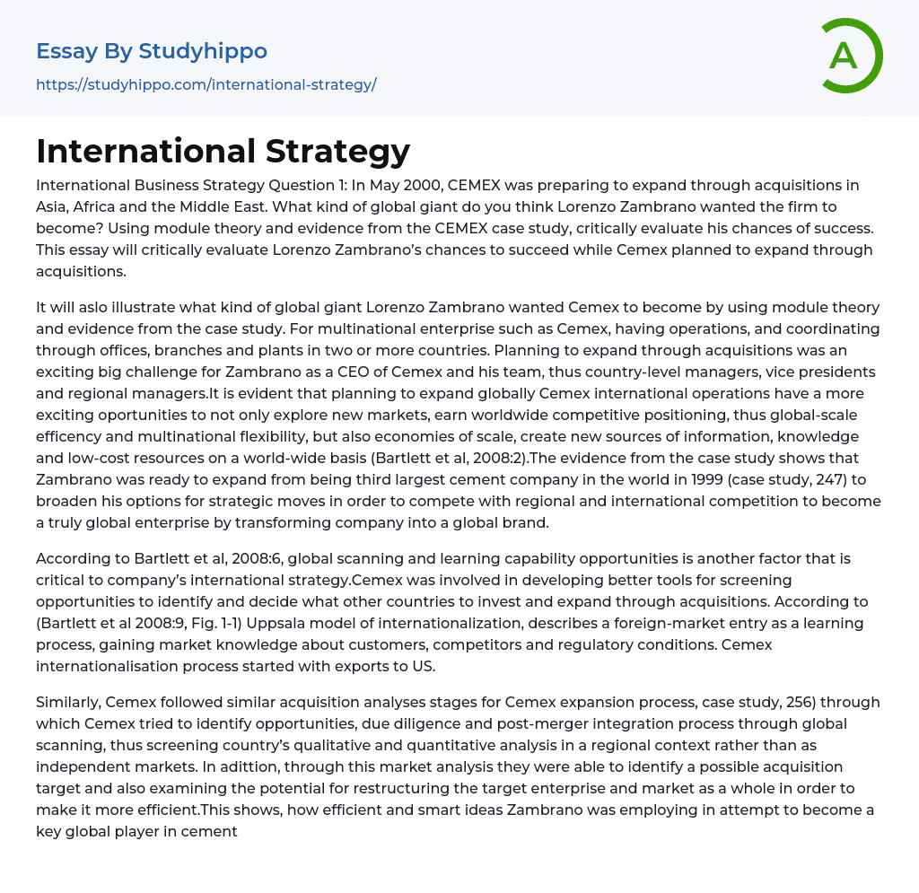 International Strategy Essay Example