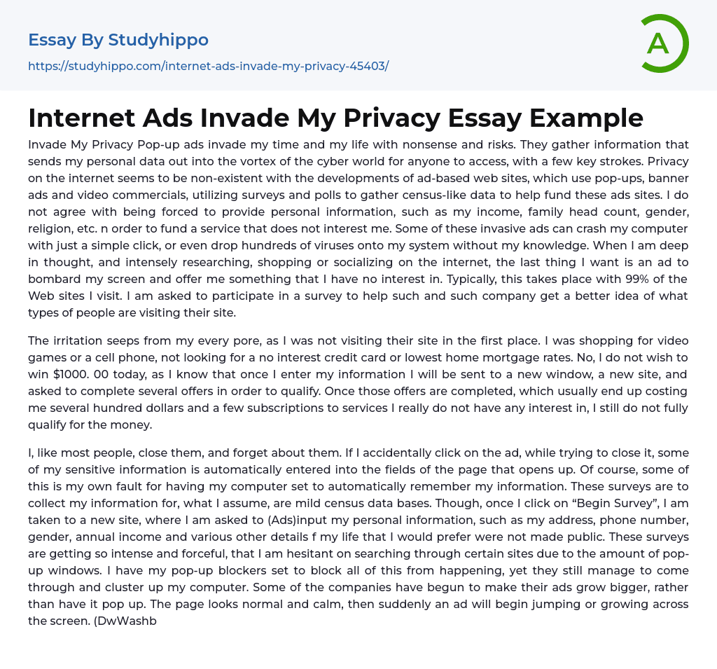 Internet Ads Invade My Privacy Essay Example