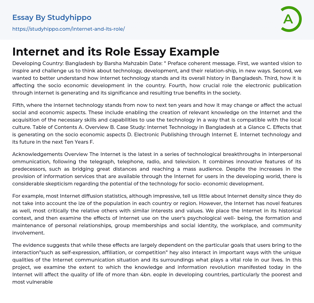 Internet and its Role Essay Example