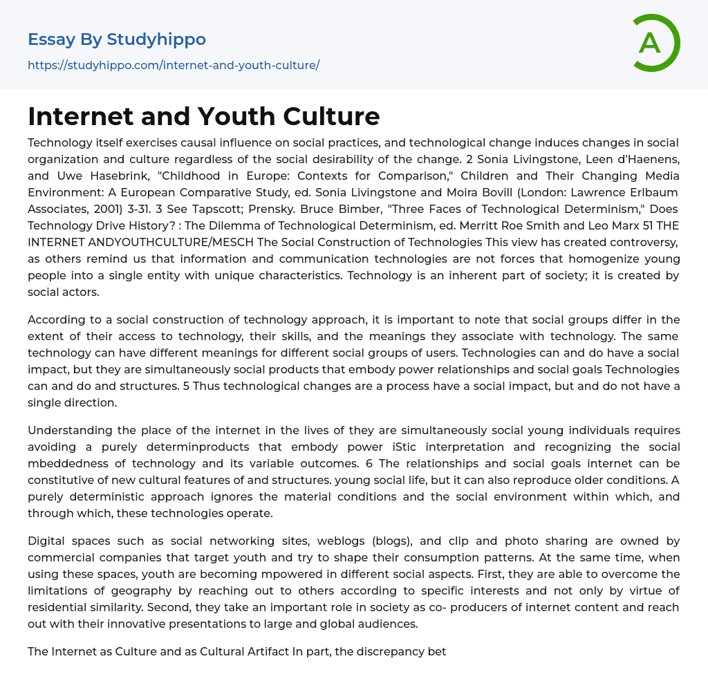 internet and youth essay