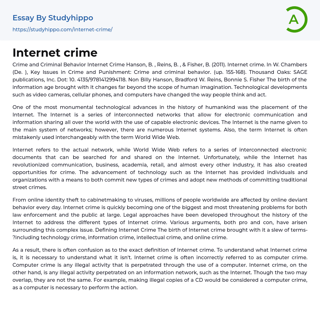 Internet crime Essay Example