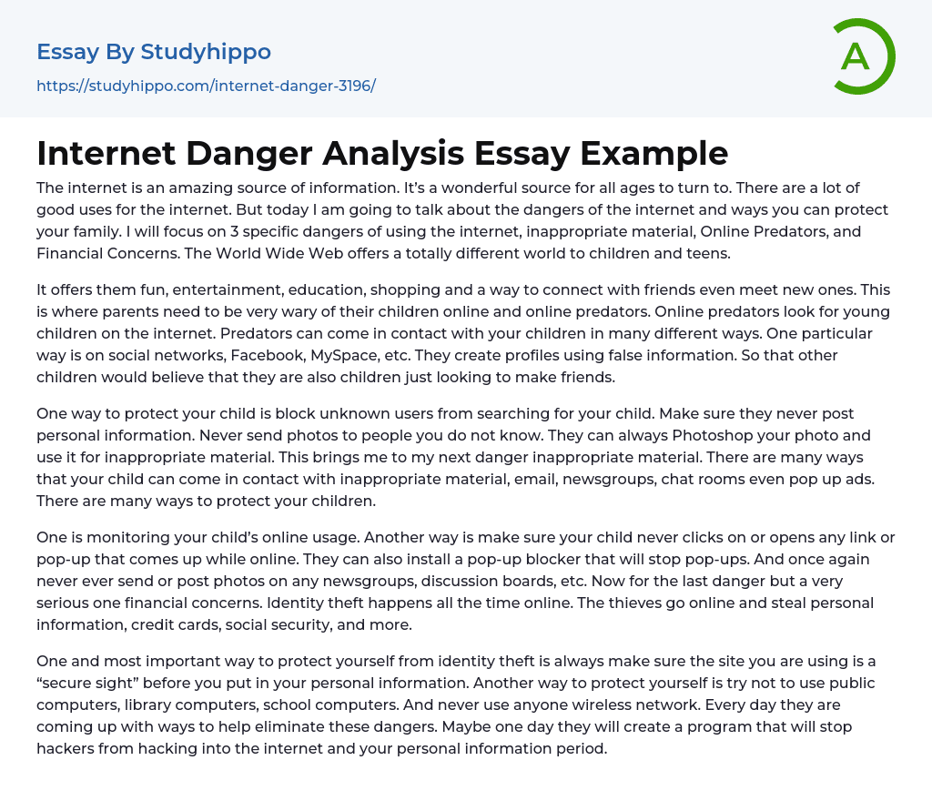 Internet Danger Analysis Essay Example