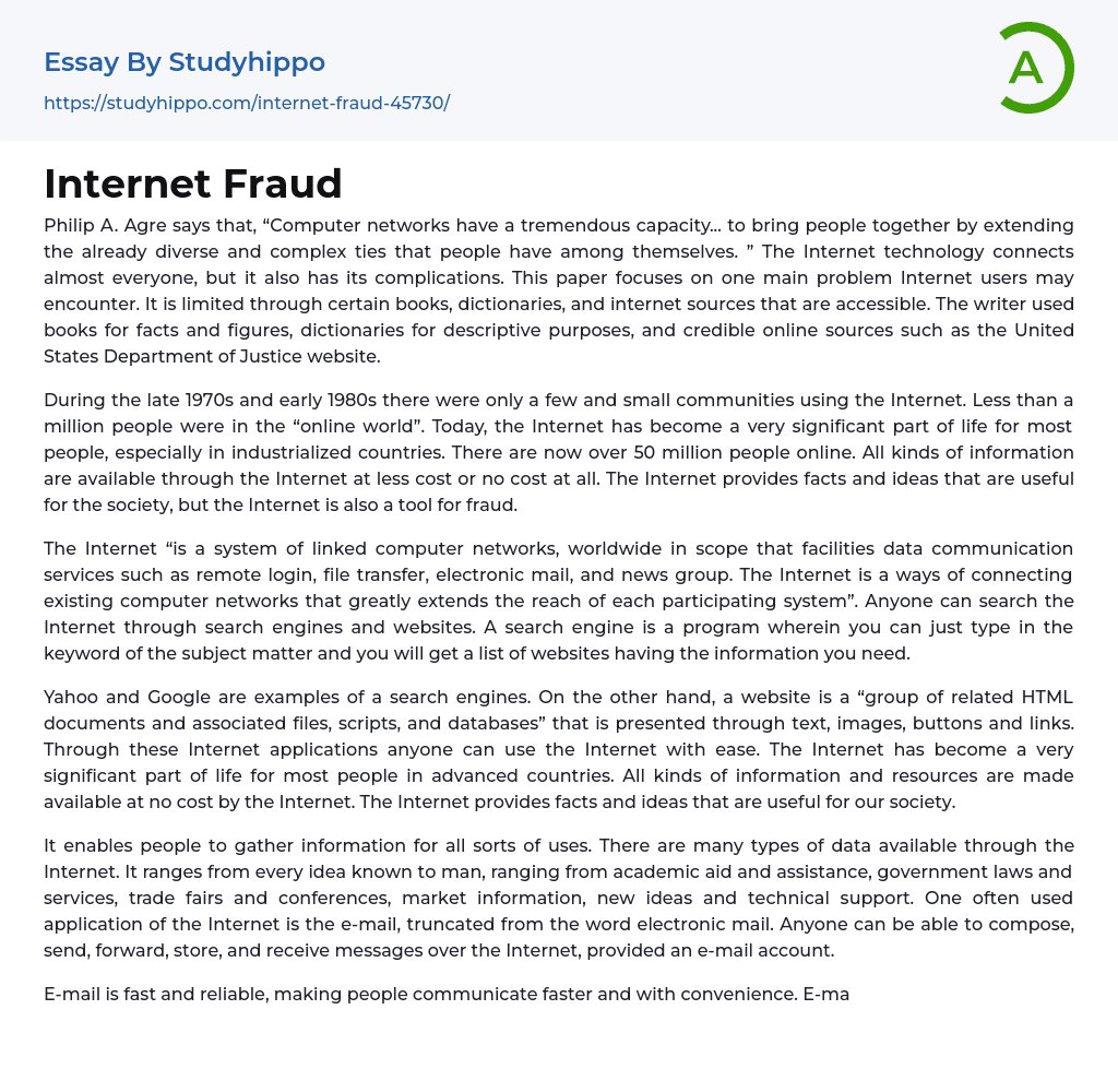 Internet Fraud Essay Example