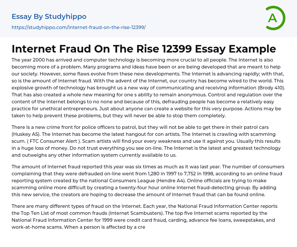 Internet Fraud On The Rise 12399 Essay Example