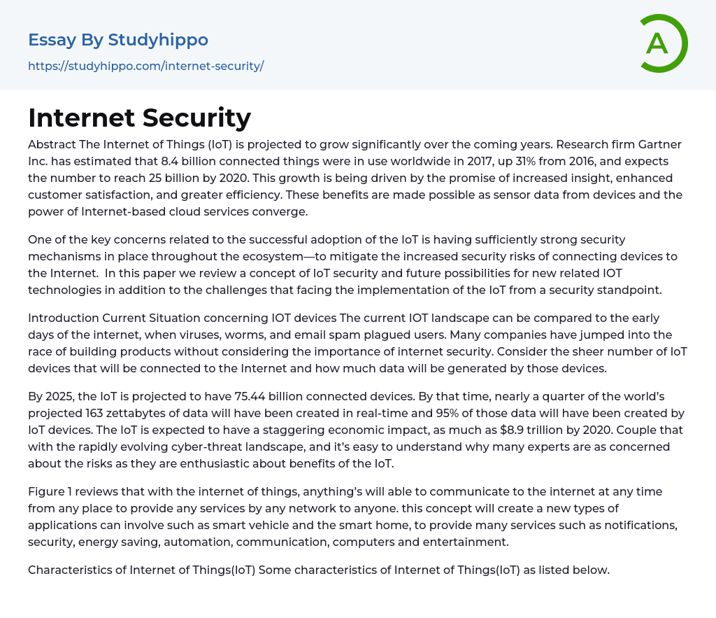 Internet Security Essay Example