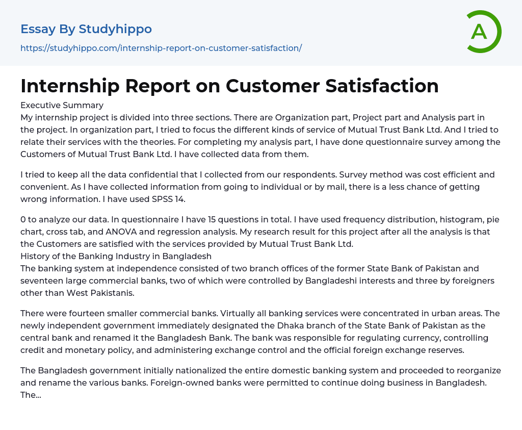 Internship Report on Customer Satisfaction Essay Example
