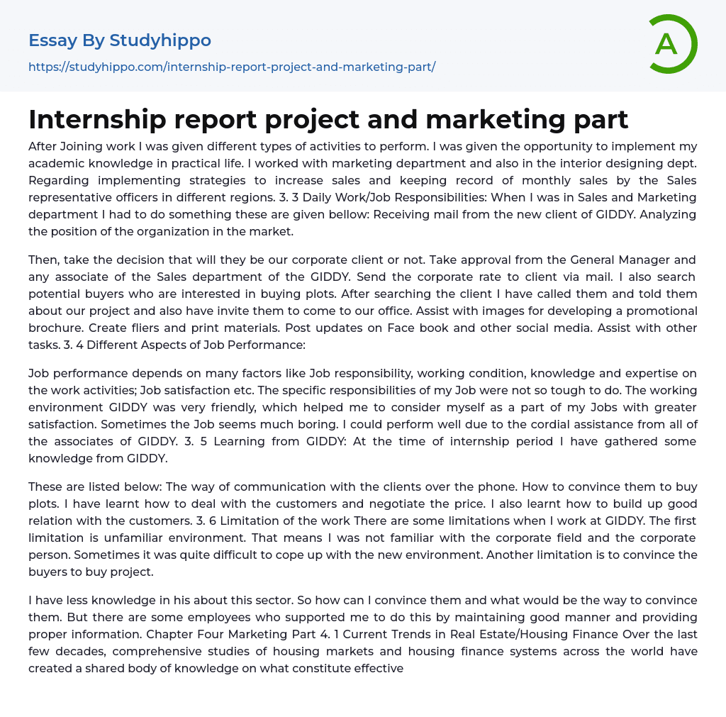 Internship report project and marketing part Essay Example