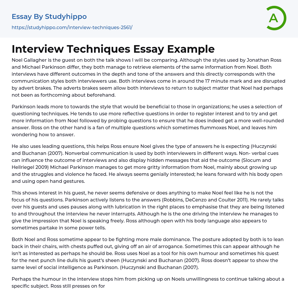 Interview Techniques Essay Example