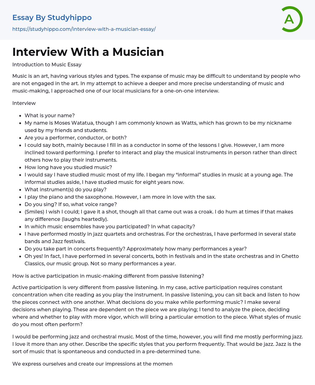 Interview With a Musician Essay Example