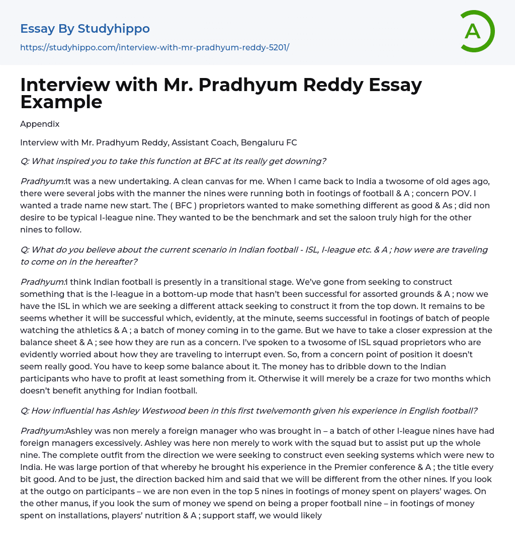Interview with Mr. Pradhyum Reddy Essay Example