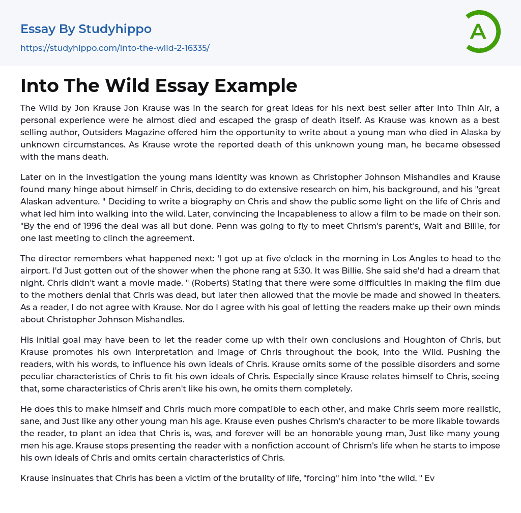 Into The Wild Essay Example