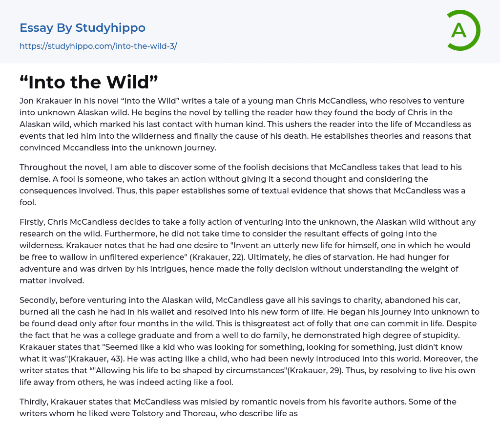 “Into the Wild” Essay Example