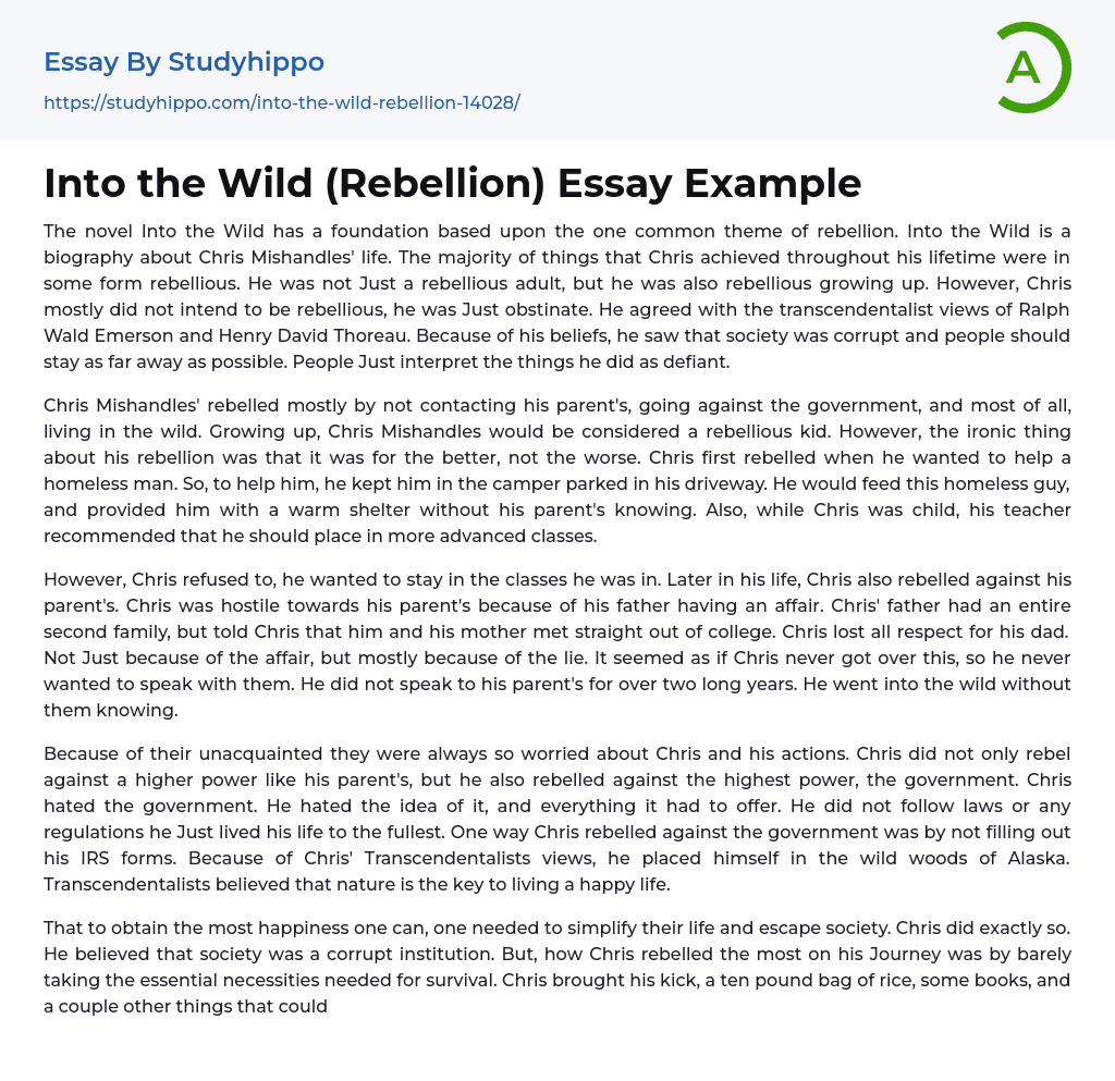 Into the Wild (Rebellion) Essay Example