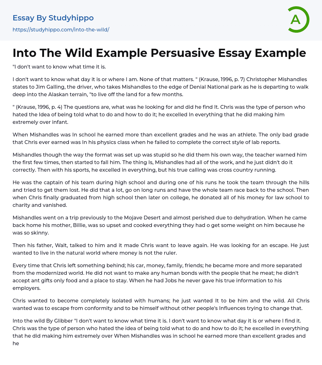 Into The Wild Example Persuasive Essay Example