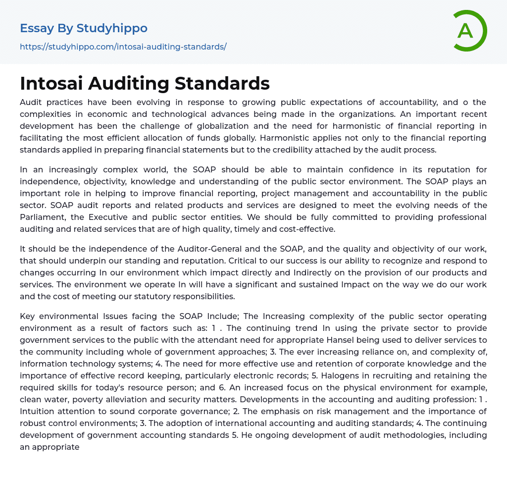 Intosai Auditing Standards Essay Example