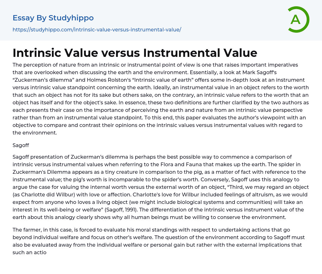 Intrinsic Value versus Instrumental Value Essay Example